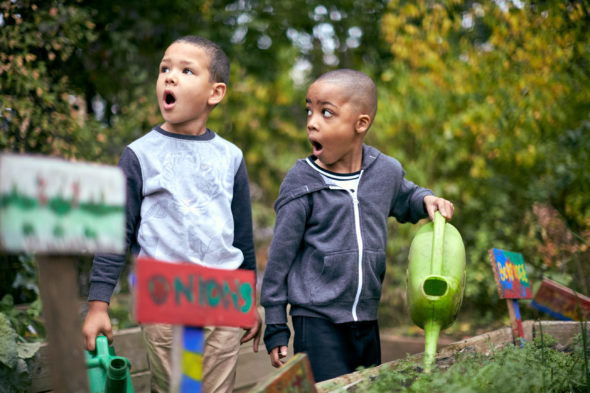 Jack-Terry_Lifestyle-Photographer_little-rascals13.jpg - Little Rascals - Jack Terry