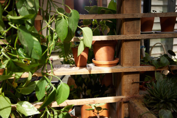 2024_04_17_Haws_Lifestyle Shoot_Indoors_1148 - Haws Watering Cans - Jack Terry