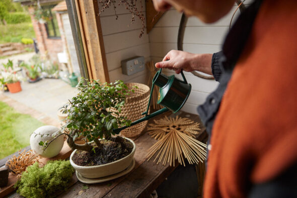 2024_04_17_Haws_Lifestyle Shoot_Indoors_1624 - Haws Watering Cans - Jack Terry